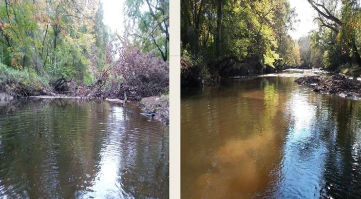 Stream Debris Picture